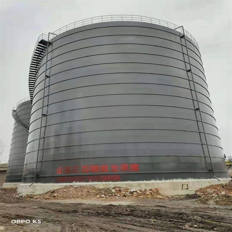 中方3万吨大型钢板库